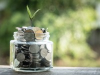 plant growing out of coins with filter effect retro vintage style